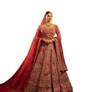 Heavy Hand work lahnga